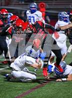 Photo from the gallery "Cedar Crest @ Reading"