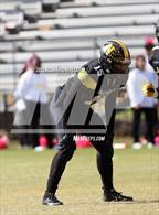 Photo from the gallery "Lake Forest @ Newark"