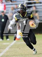 Photo from the gallery "Lake Forest @ Newark"