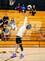 Photo from the gallery "Monterey Trail @ Laguna Creek"