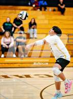 Photo from the gallery "Monterey Trail @ Laguna Creek"