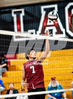 Photo from the gallery "Monterey Trail @ Laguna Creek"