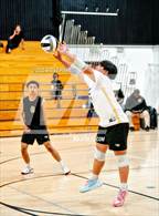 Photo from the gallery "Monterey Trail @ Laguna Creek"