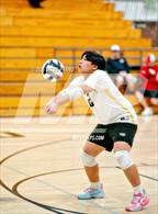 Photo from the gallery "Monterey Trail @ Laguna Creek"