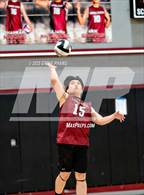 Photo from the gallery "Monterey Trail @ Laguna Creek"