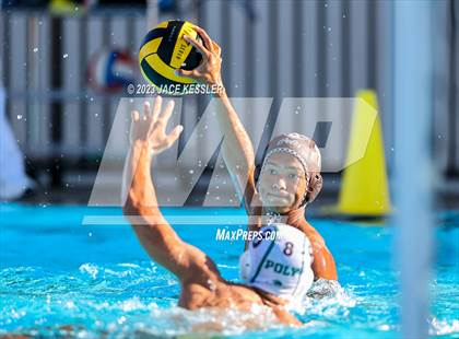 Thumbnail 2 in Long Beach Poly @ Crespi photogallery.