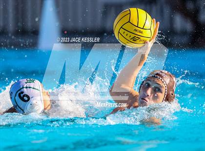 Thumbnail 1 in Long Beach Poly @ Crespi photogallery.