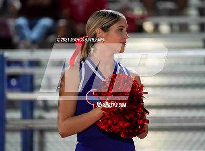 Thumbnail 1 in Basha @ Mountain View photogallery.