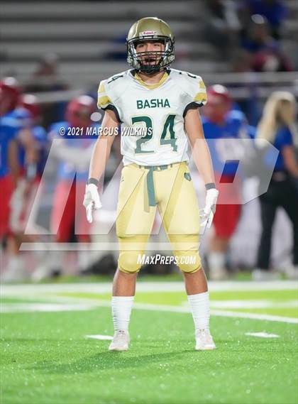 Thumbnail 1 in Basha @ Mountain View photogallery.