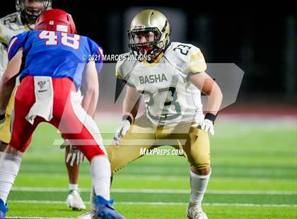 Thumbnail 2 in Basha @ Mountain View photogallery.