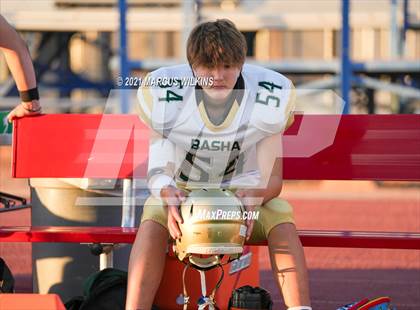 Thumbnail 2 in Basha @ Mountain View photogallery.