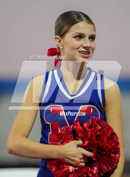 Thumbnail 2 in Basha @ Mountain View photogallery.