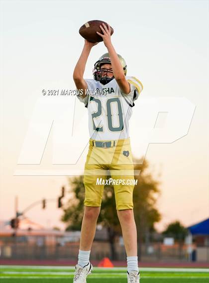 Thumbnail 2 in Basha @ Mountain View photogallery.