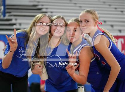 Thumbnail 3 in Basha @ Mountain View photogallery.