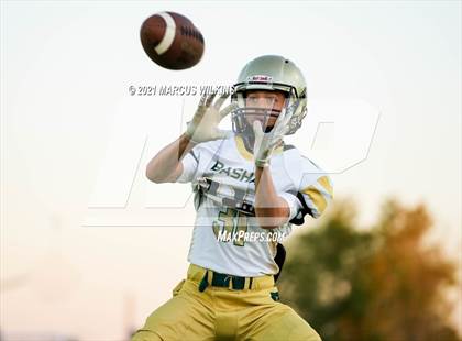 Thumbnail 1 in Basha @ Mountain View photogallery.