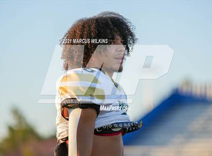 Thumbnail 2 in Basha @ Mountain View photogallery.