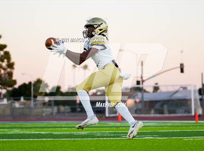 Thumbnail 2 in Basha @ Mountain View photogallery.