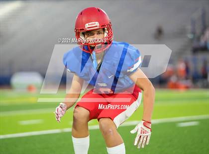 Thumbnail 2 in Basha @ Mountain View photogallery.