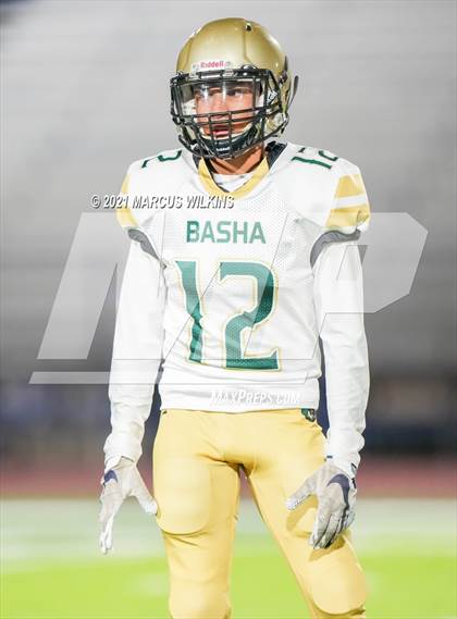 Thumbnail 3 in Basha @ Mountain View photogallery.