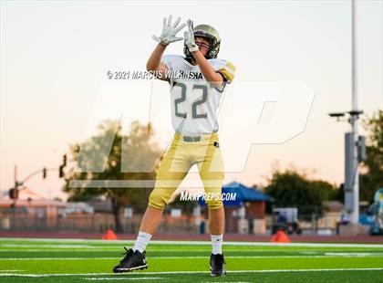 Thumbnail 1 in Basha @ Mountain View photogallery.