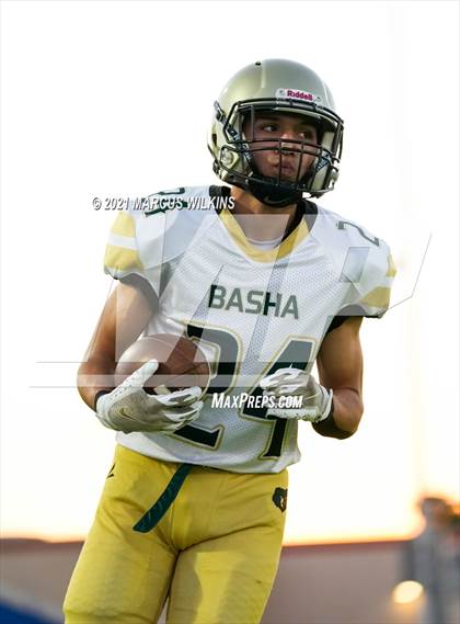 Thumbnail 3 in Basha @ Mountain View photogallery.