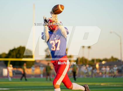 Thumbnail 2 in Basha @ Mountain View photogallery.