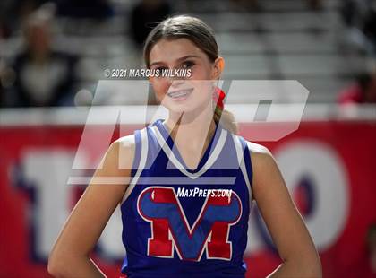 Thumbnail 2 in Basha @ Mountain View photogallery.