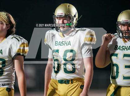 Thumbnail 3 in Basha @ Mountain View photogallery.
