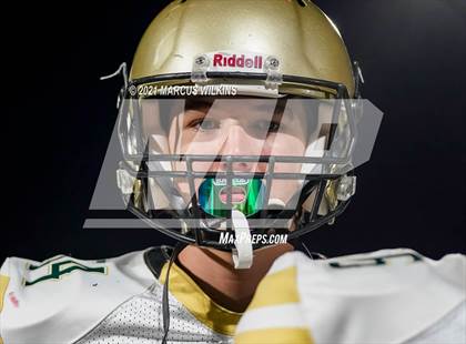Thumbnail 2 in Basha @ Mountain View photogallery.