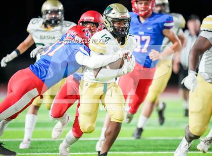 Thumbnail 2 in Basha @ Mountain View photogallery.
