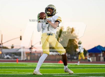 Thumbnail 2 in Basha @ Mountain View photogallery.
