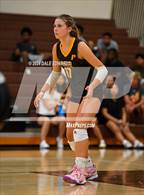 Photo from the gallery "Cathedral Catholic @ Francis Parker"