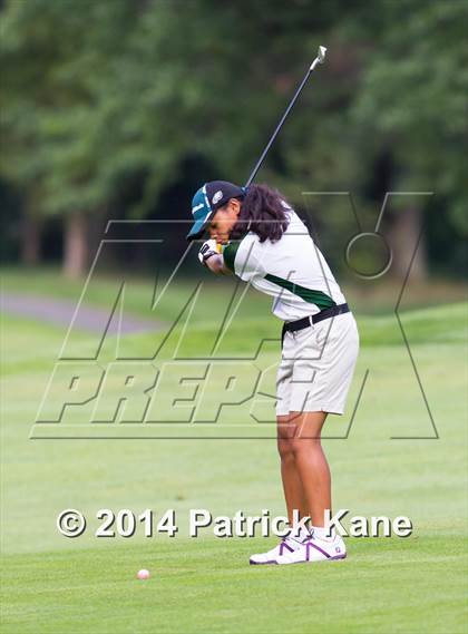Thumbnail 3 in Arlington County Golf Match photogallery.