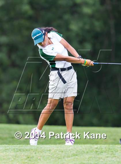 Thumbnail 3 in Arlington County Golf Match photogallery.