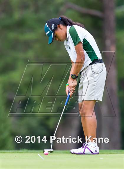 Thumbnail 3 in Arlington County Golf Match photogallery.