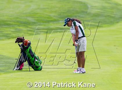 Thumbnail 3 in Arlington County Golf Match photogallery.