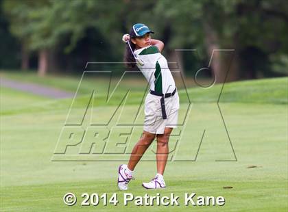 Thumbnail 2 in Arlington County Golf Match photogallery.