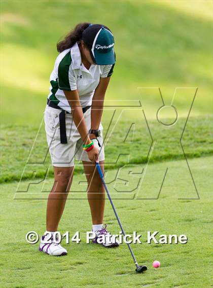 Thumbnail 2 in Arlington County Golf Match photogallery.