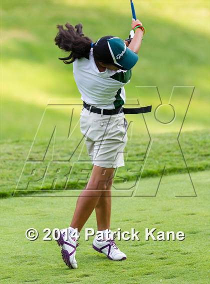 Thumbnail 2 in Arlington County Golf Match photogallery.