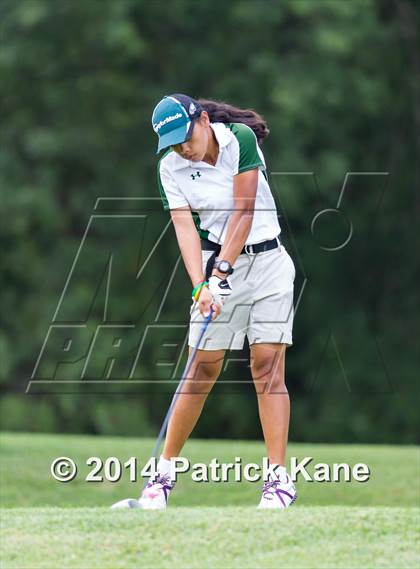 Thumbnail 3 in Arlington County Golf Match photogallery.