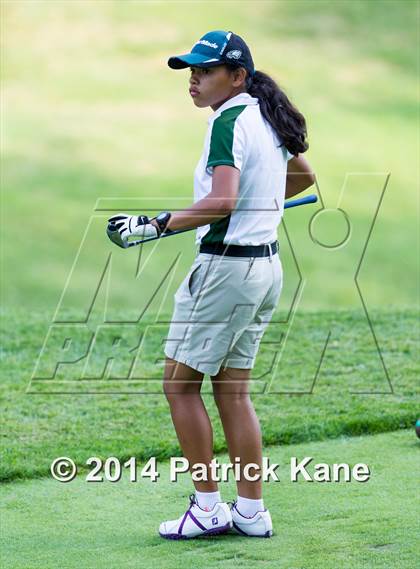 Thumbnail 1 in Arlington County Golf Match photogallery.