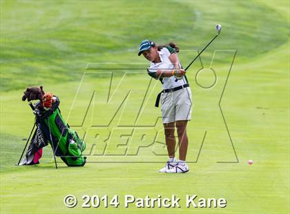Thumbnail 2 in Arlington County Golf Match photogallery.