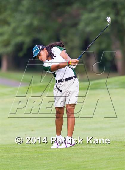 Thumbnail 3 in Arlington County Golf Match photogallery.