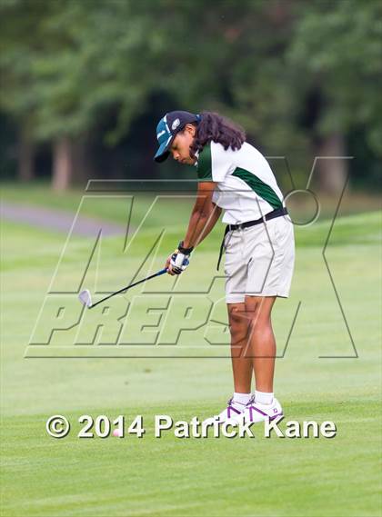 Thumbnail 1 in Arlington County Golf Match photogallery.