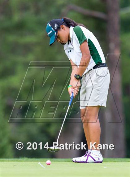 Thumbnail 2 in Arlington County Golf Match photogallery.