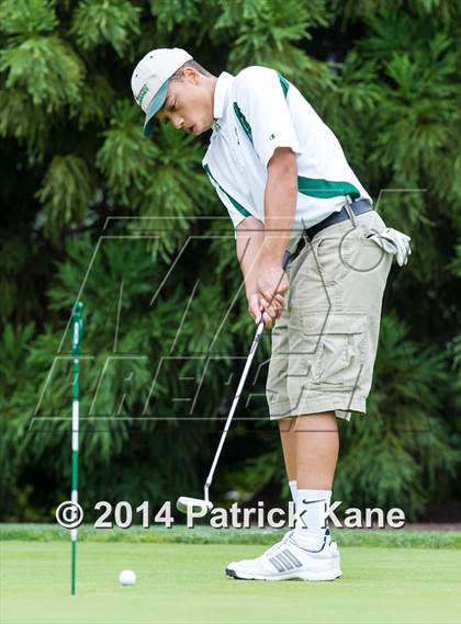 Thumbnail 3 in Arlington County Golf Match photogallery.