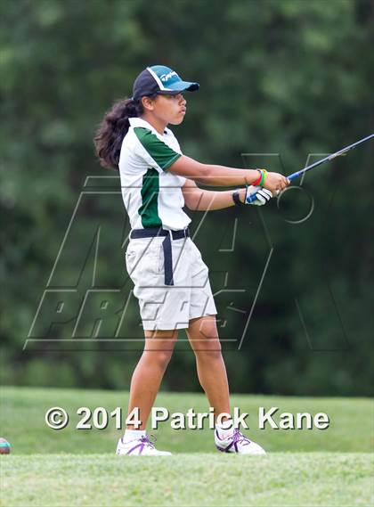 Thumbnail 1 in Arlington County Golf Match photogallery.