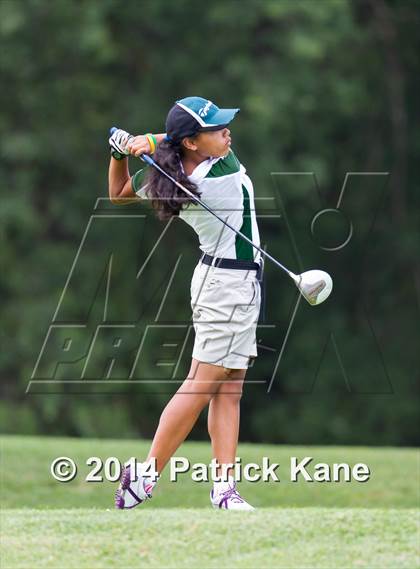 Thumbnail 2 in Arlington County Golf Match photogallery.