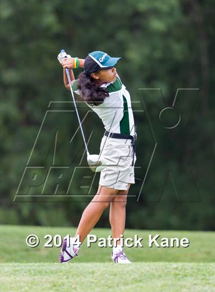 Thumbnail 1 in Arlington County Golf Match photogallery.