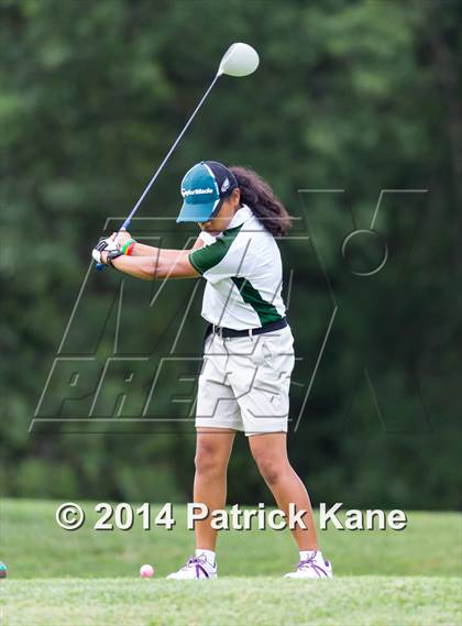 Thumbnail 1 in Arlington County Golf Match photogallery.